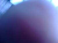 Foto/Print