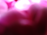 Foto/Print
