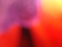 Foto/Print