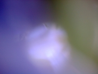 Foto/Print