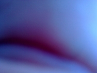 Foto/Print