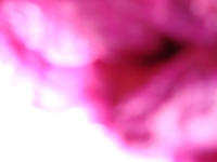 Foto/Print